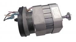 Двигатель ZBDJ 350-2 94W  в сборе с насосом